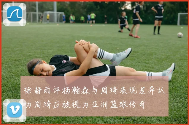 徐静雨评杨瀚森与周琦表现差异认为周琦应被视为亚洲篮球传奇