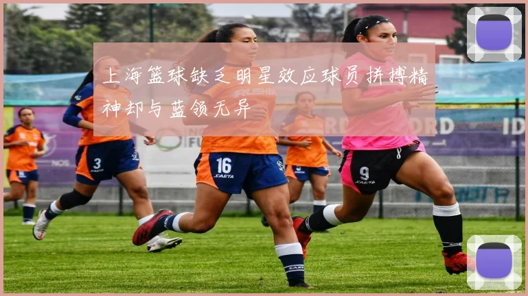上海篮球缺乏明星效应球员拼搏精神却与蓝领无异