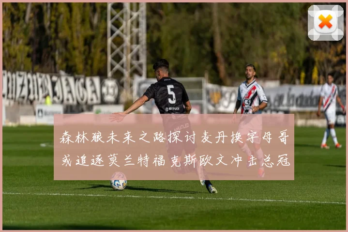 森林狼未来之路探讨麦丹换字母哥或追逐莫兰特福克斯欧文冲击总冠军