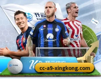 平台简介 - 体育资讯内容服务 - xingkong